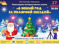 Новогодняя интерактивная сказка "В новый год за полярной звездой"