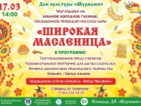 Уличное народное гуляние "Широкая масленица".