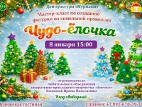 Мастер-класс по созданию фигурки из синельной проволоки «Чудо-ёлочка».08.01.2026 г.