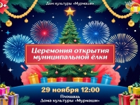 Церемония открытия муниципальной ёлки. 29.11.2025 г.