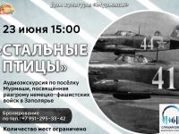Аудиоэкскурсия "Стальные птицы". 23.06.2026 г.